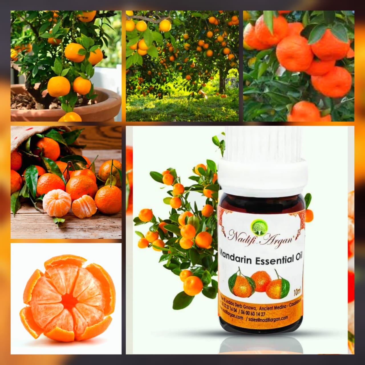 Set of 7 Mondarin Essential Oil 10ml