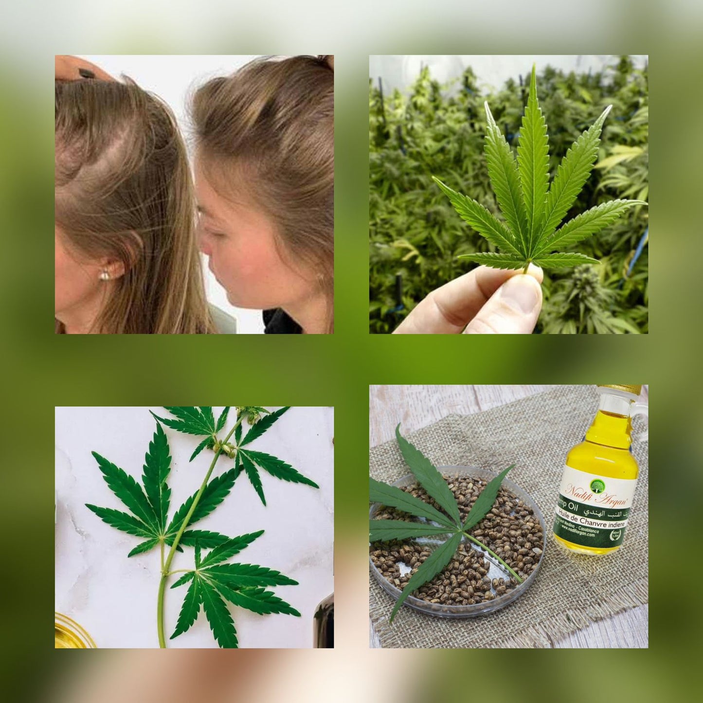 Set of 10 Hemp Seed Oil 40ml