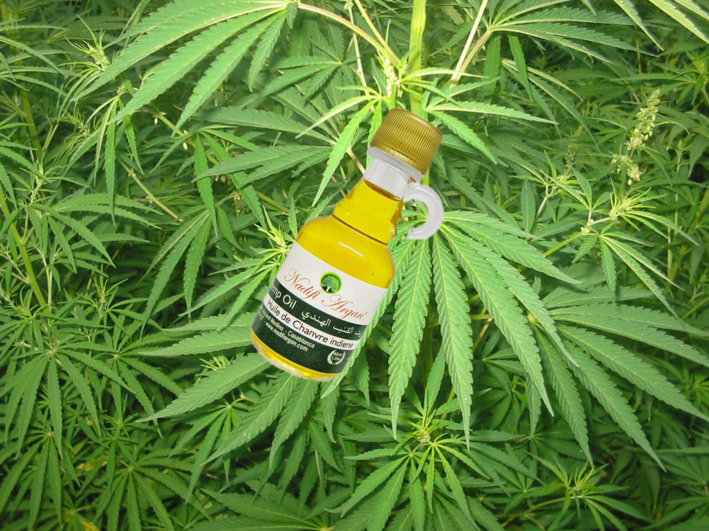 Set of 10 Hemp Seed Oil 40ml