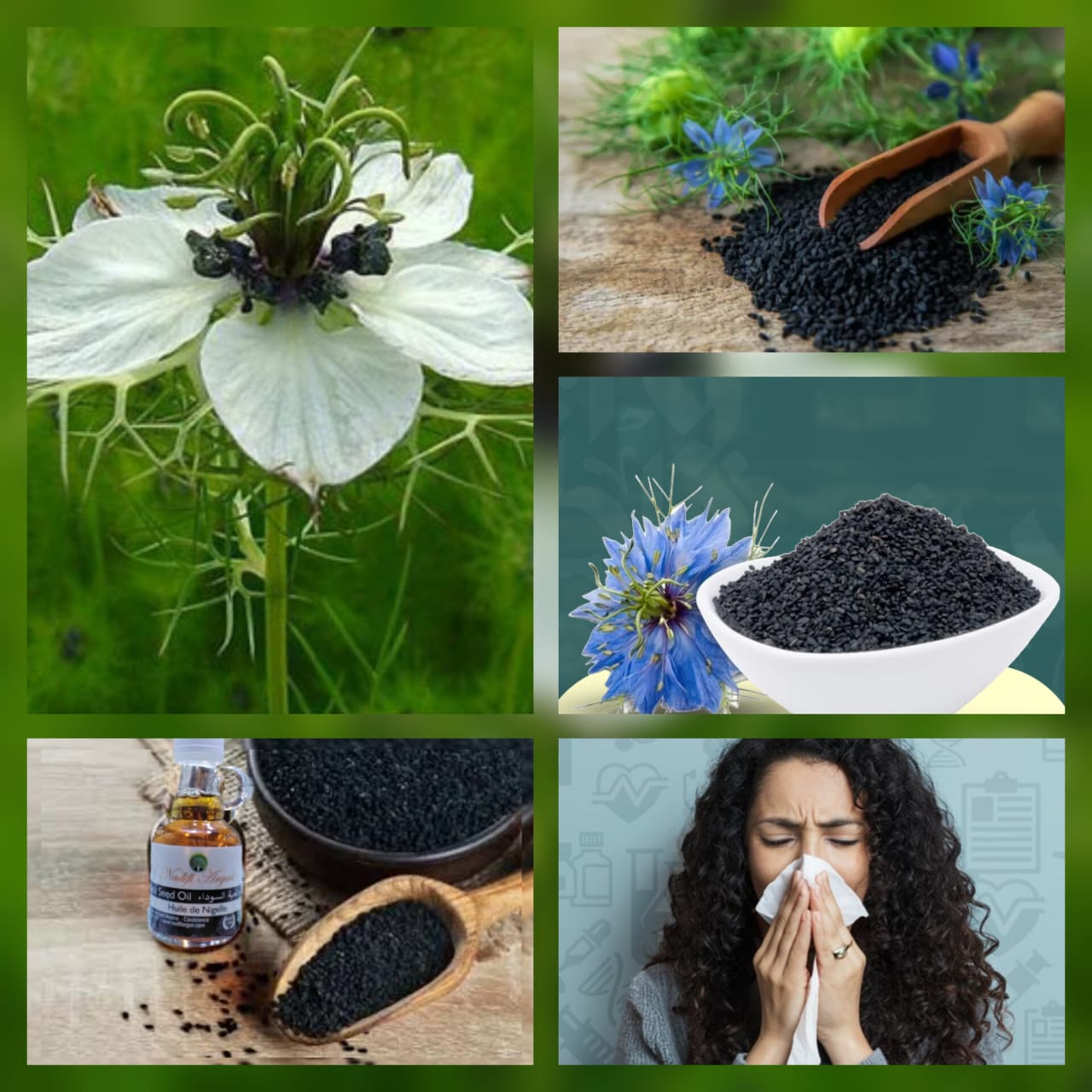 Set of 12 Black Seed Oil 40ml