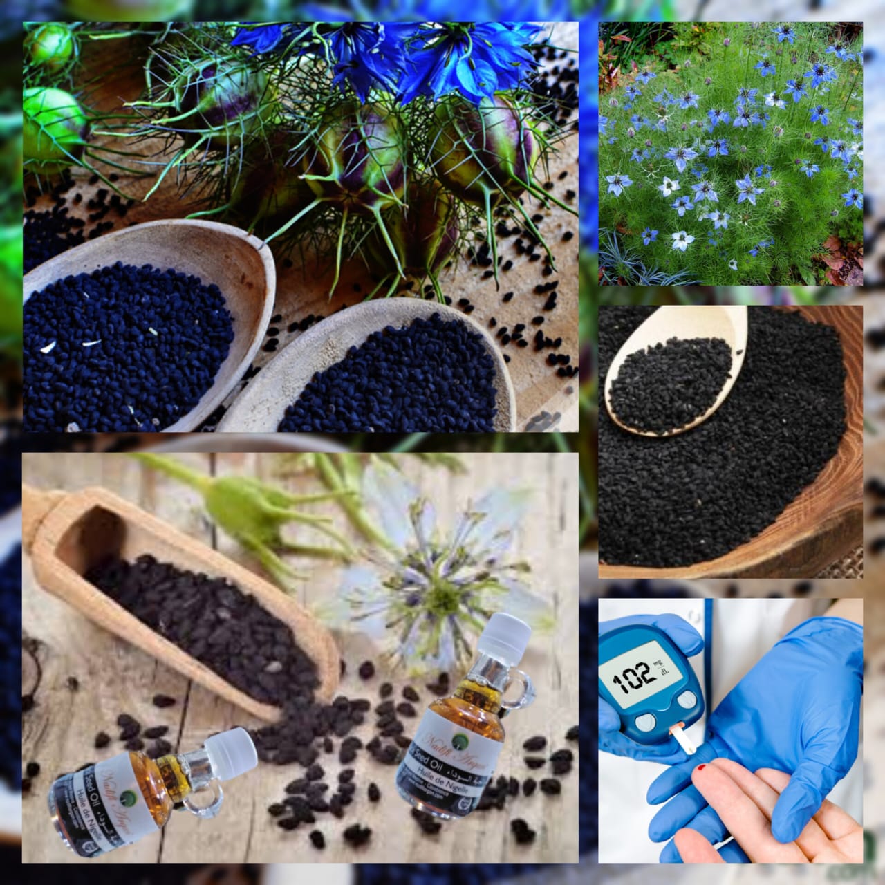 Set of 12 Black Seed Oil 40ml