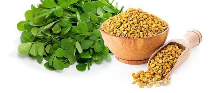 Set of 12 Fenugreek Oil 40ml