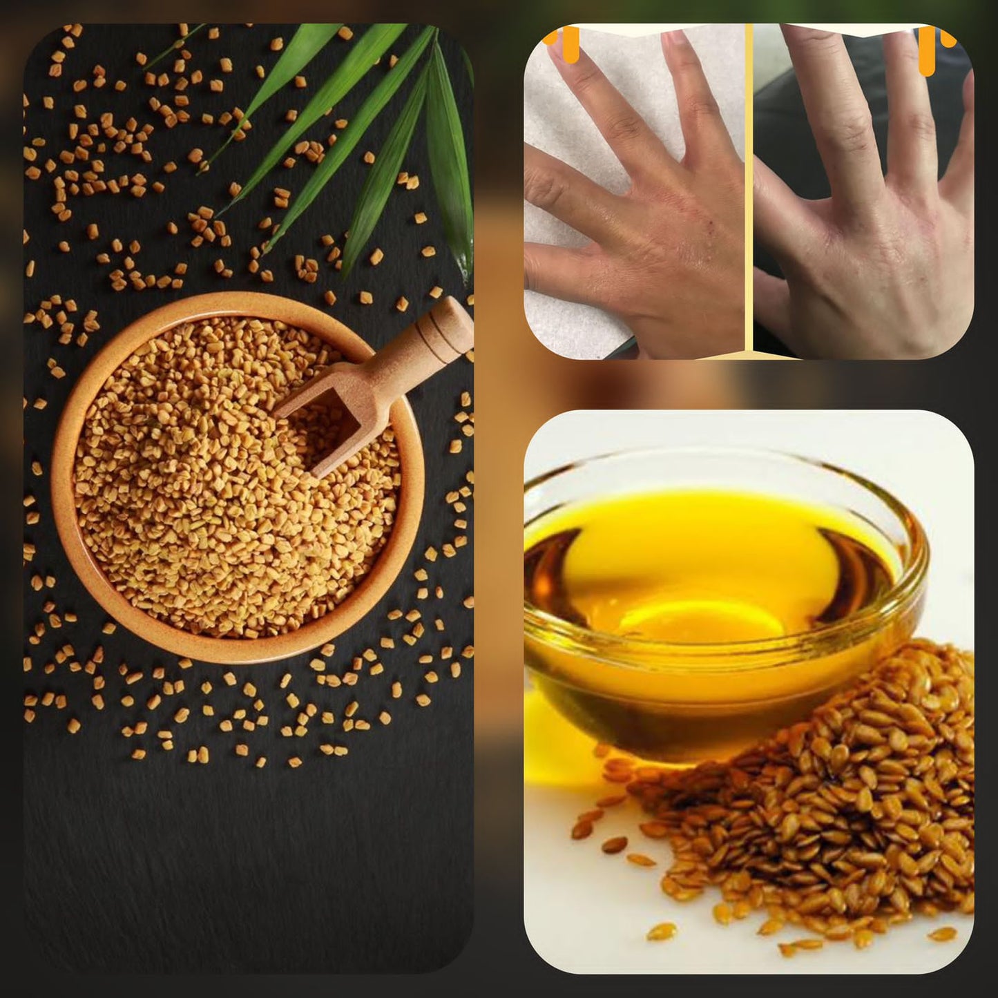 Set of 12 Fenugreek Oil 40ml