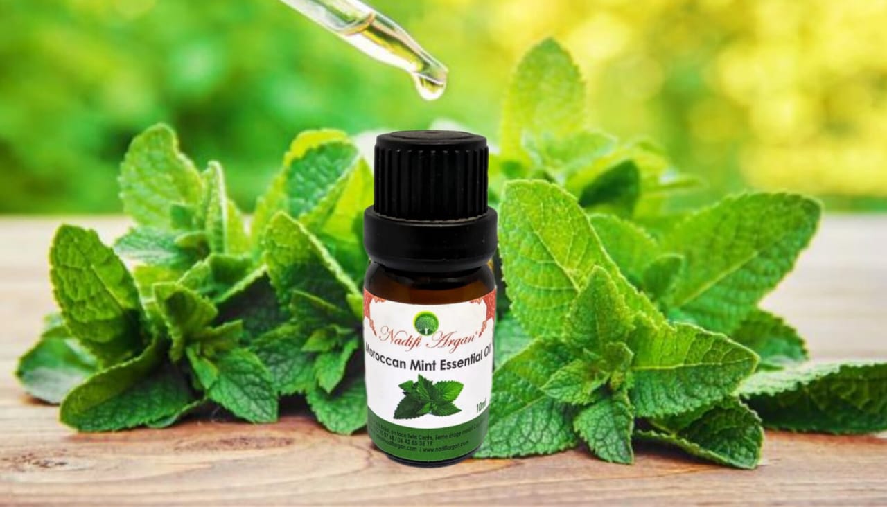 Set of 7 Moroccan Mint Essential Oil 10ml