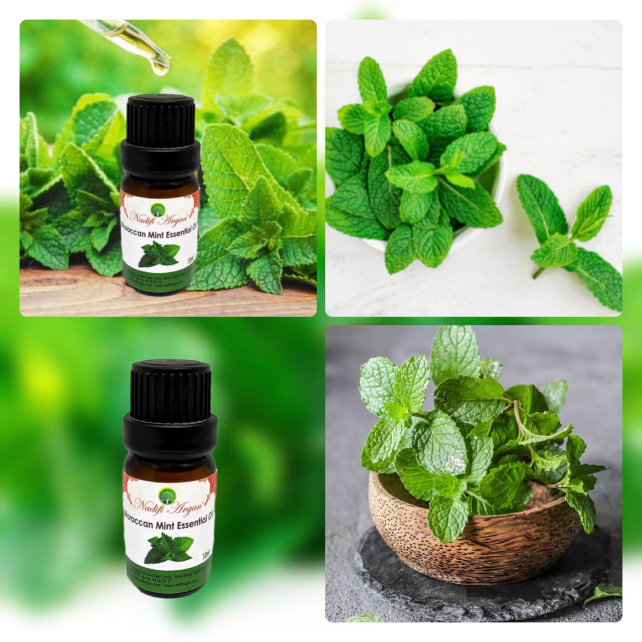 Set of 7 Moroccan Mint Essential Oil 10ml