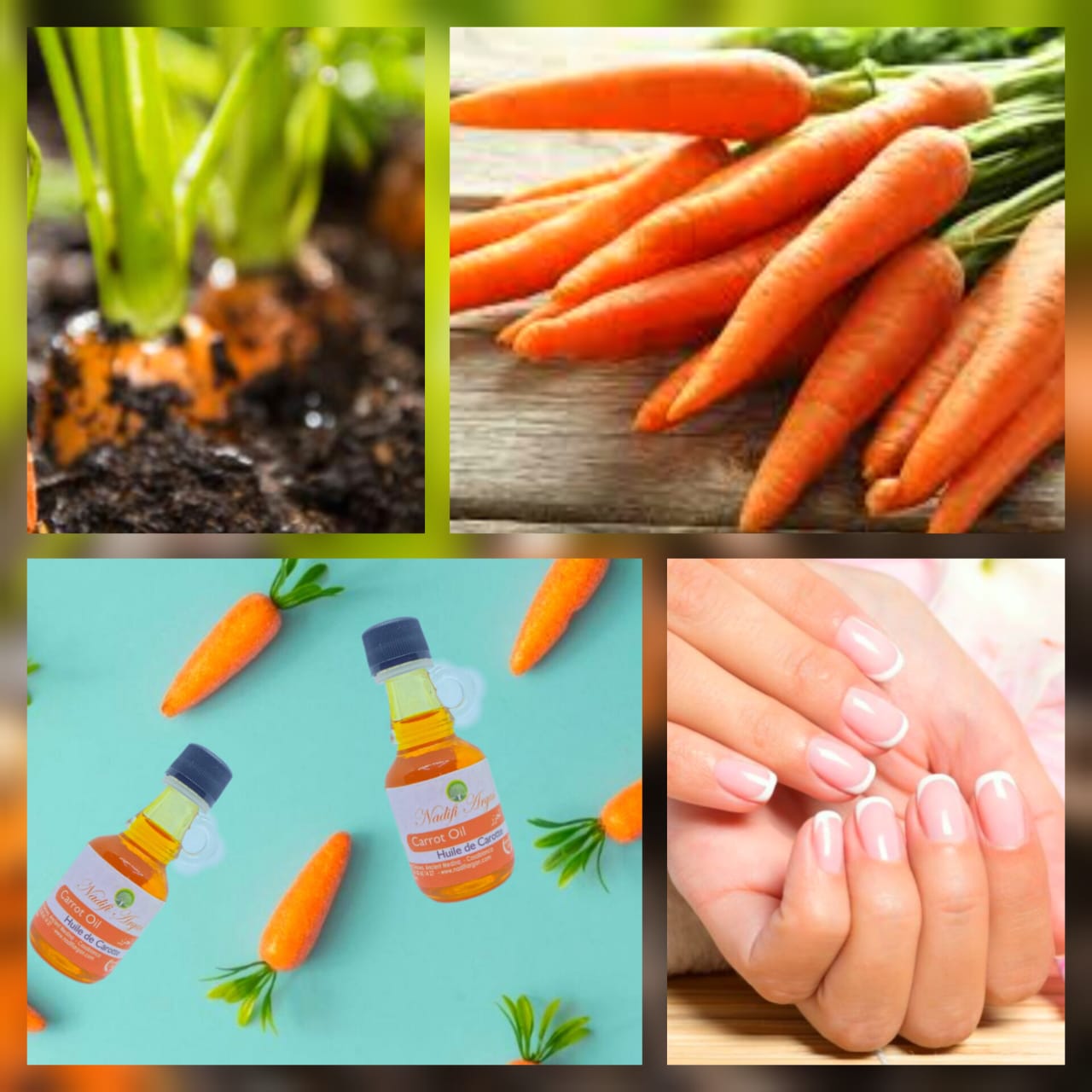 Set of 12 Carrot Oil 40ml