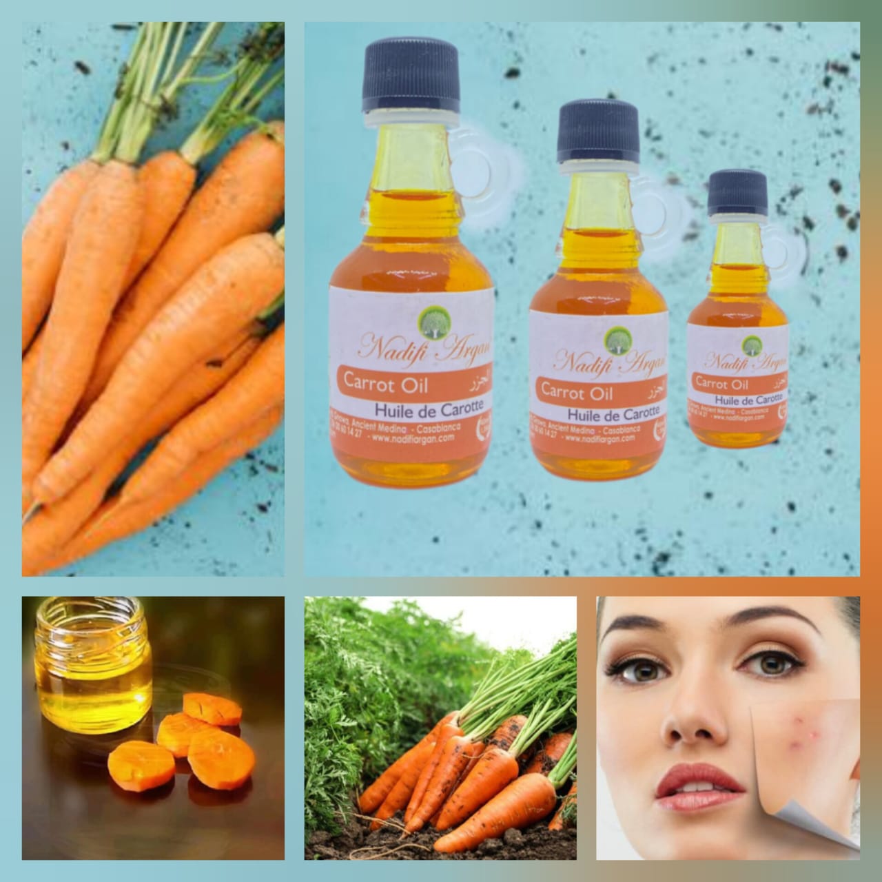 Set of 12 Carrot Oil 40ml