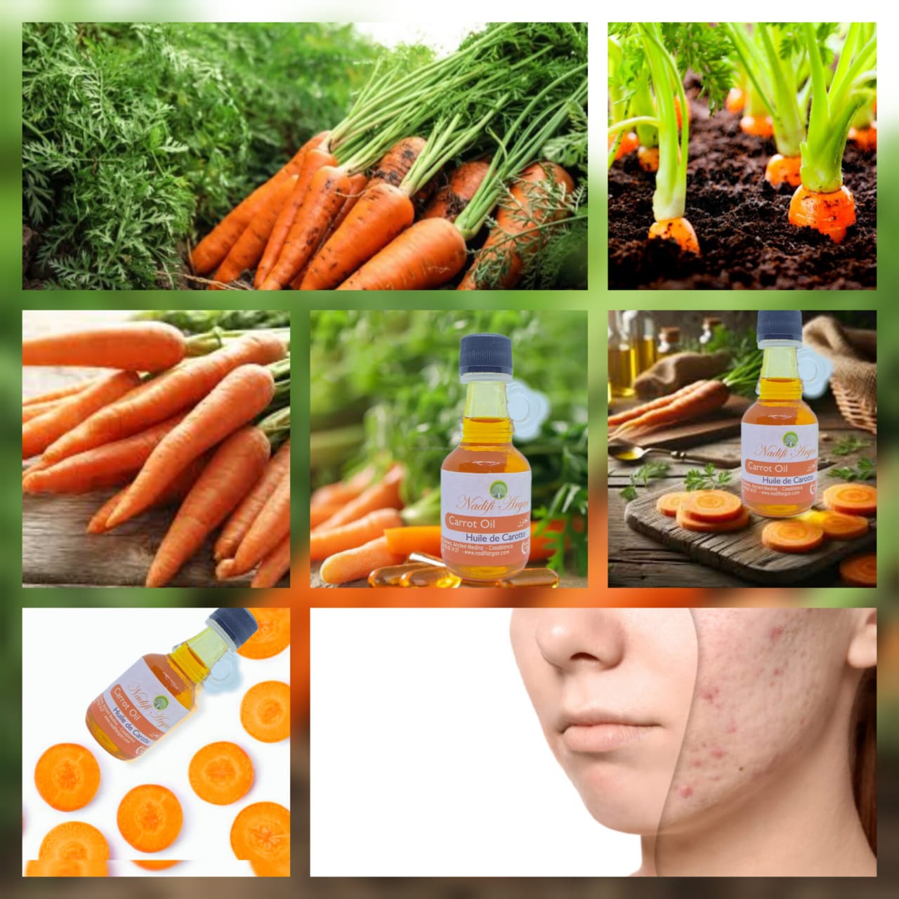 Set of 12 Carrot Oil 40ml