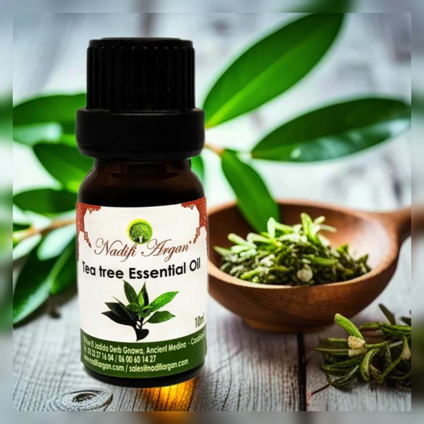 Tea Tree Essential Oil 10ml