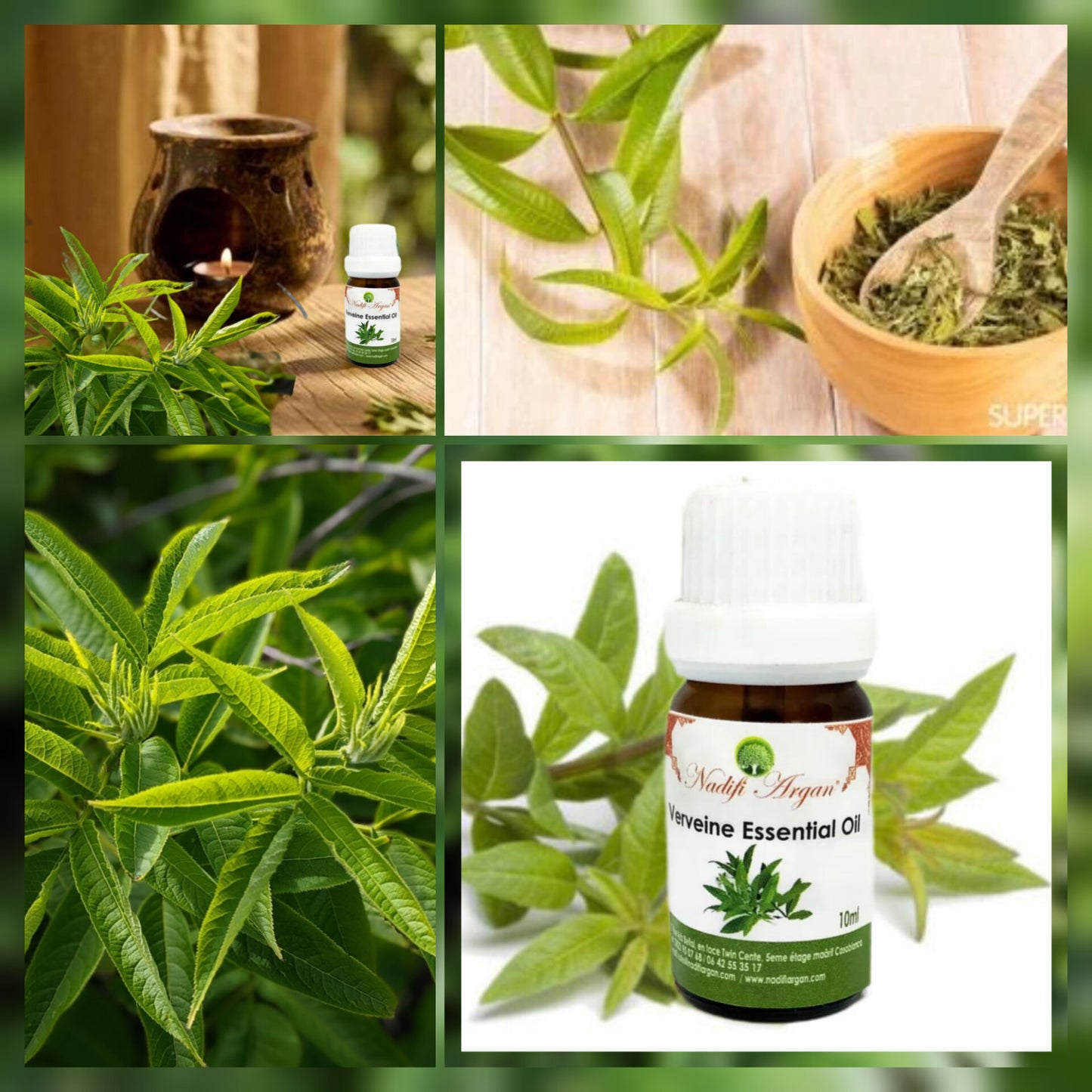 Verveine Essential Oil 10ml