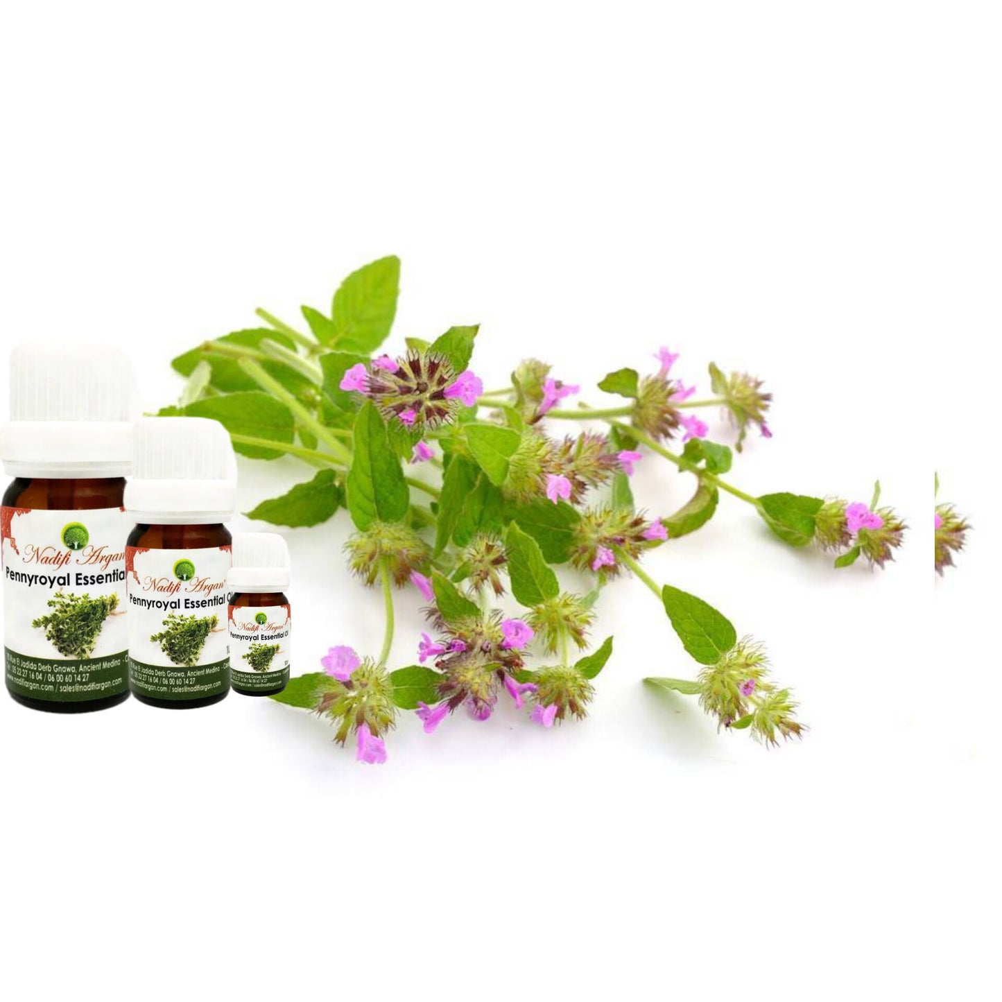 Set of 7 Pennyroyal Essential Oil 10ml