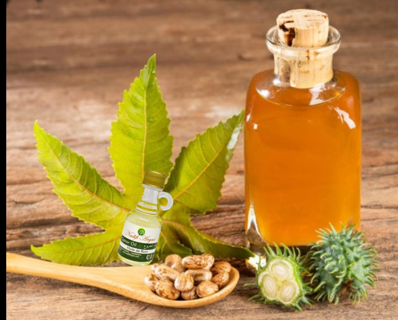 Set of 14 Castor Oil 40ml