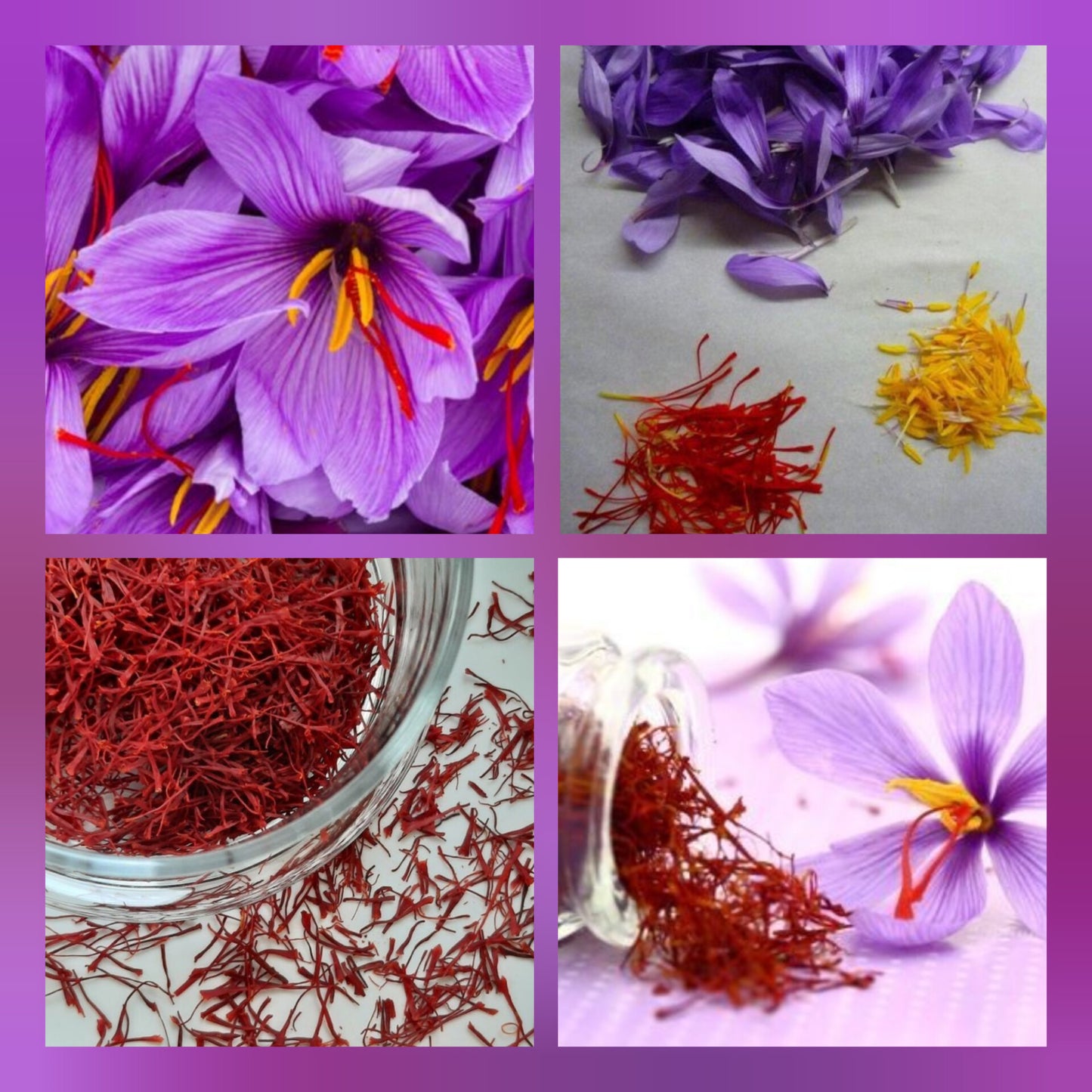 Set of 10 Saffron 1g