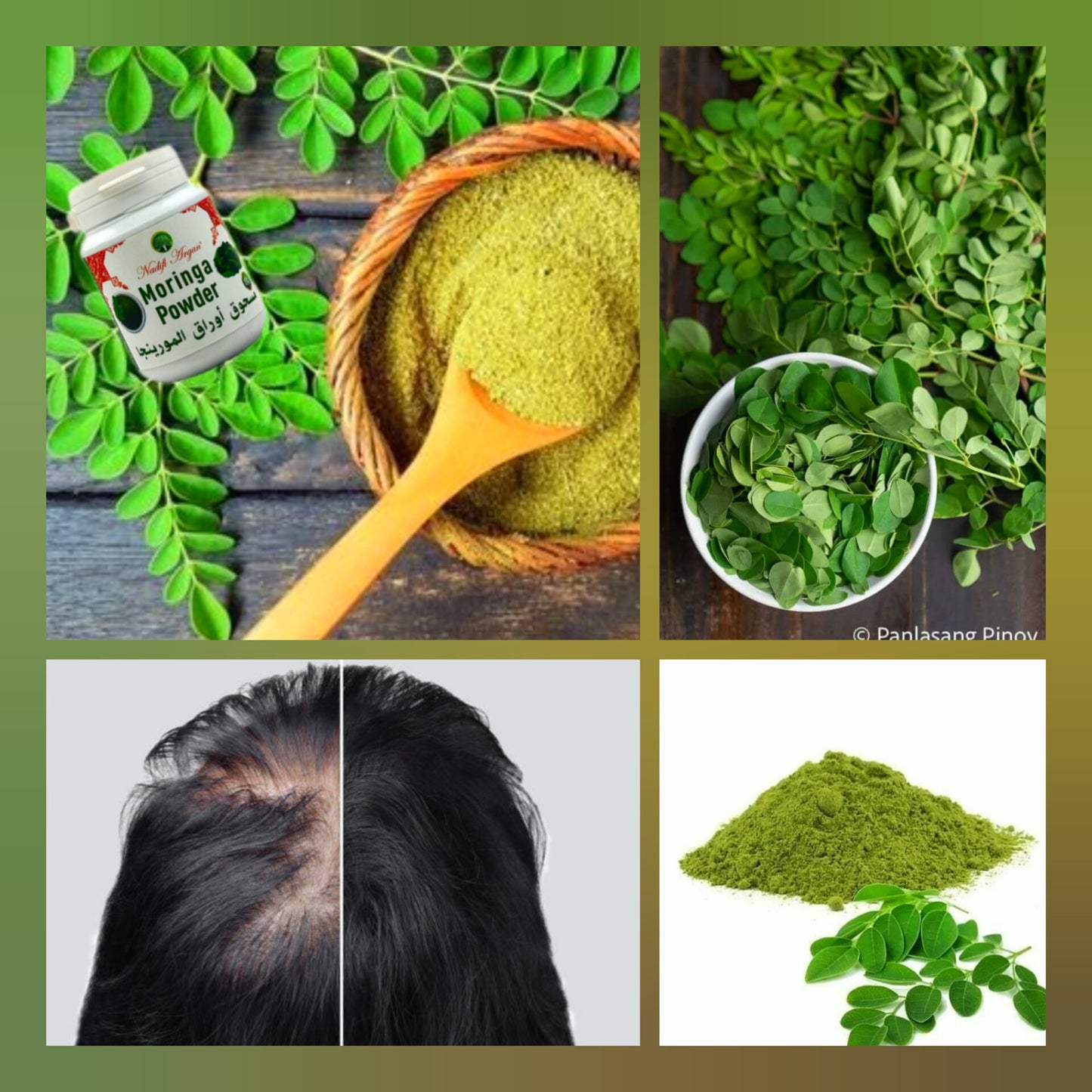 Moringa Powder bottle of 50 gr