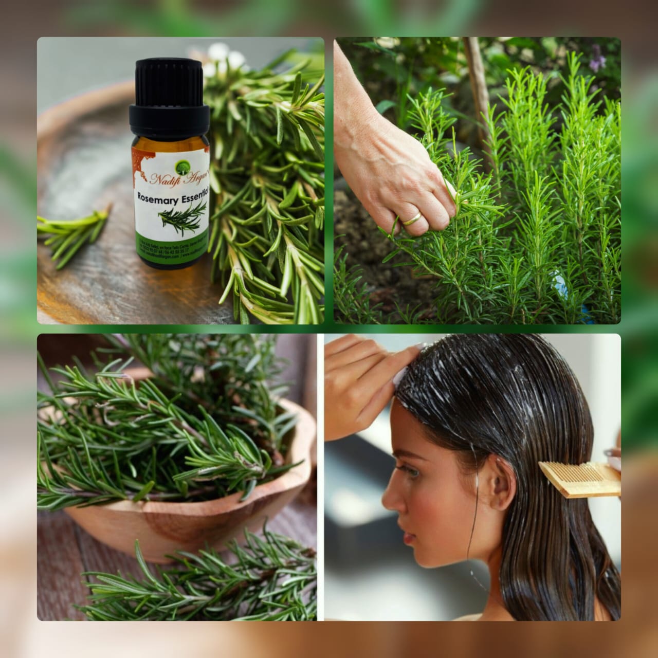 Rosemary Essential Oil 10ml