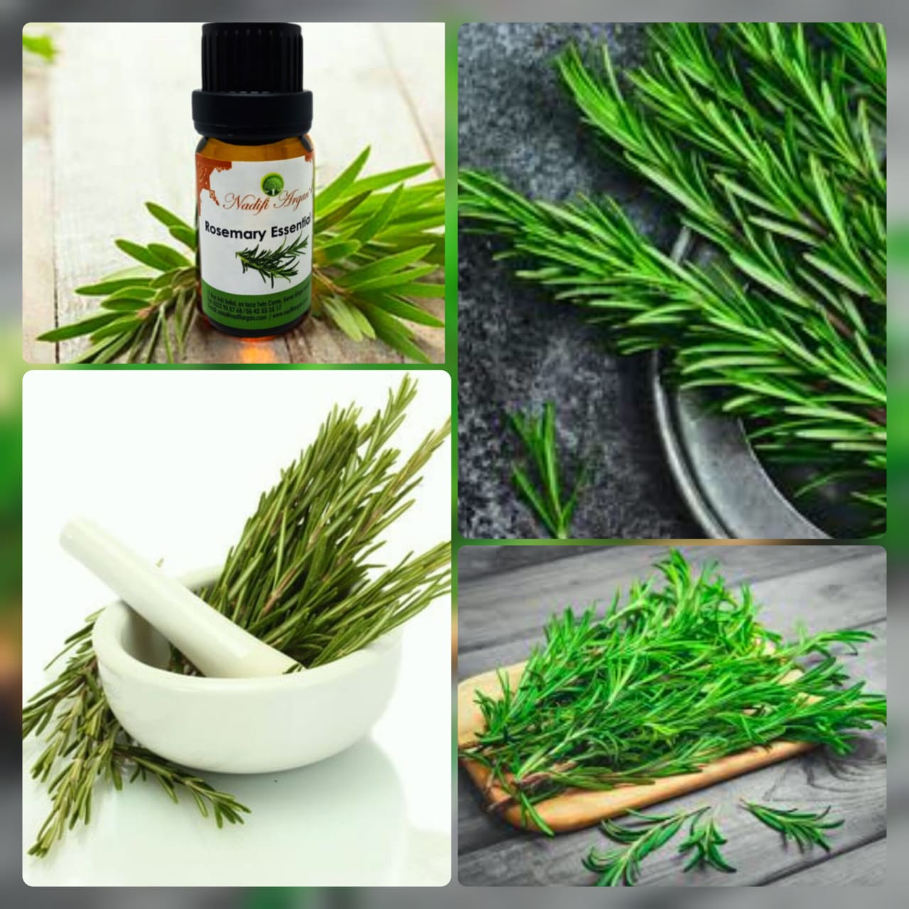 Rosemary Essential Oil 10ml