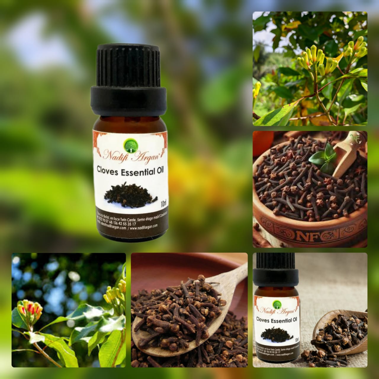 Cloves Essential Oil 10ml