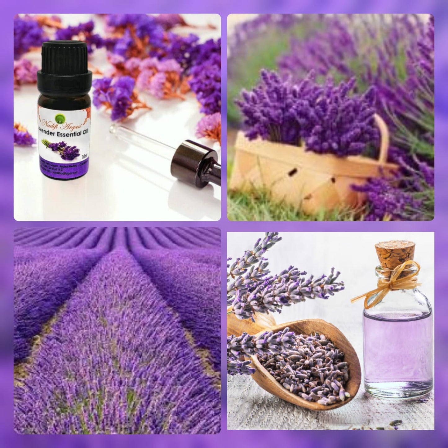 Lavender Essential Oil 10ml