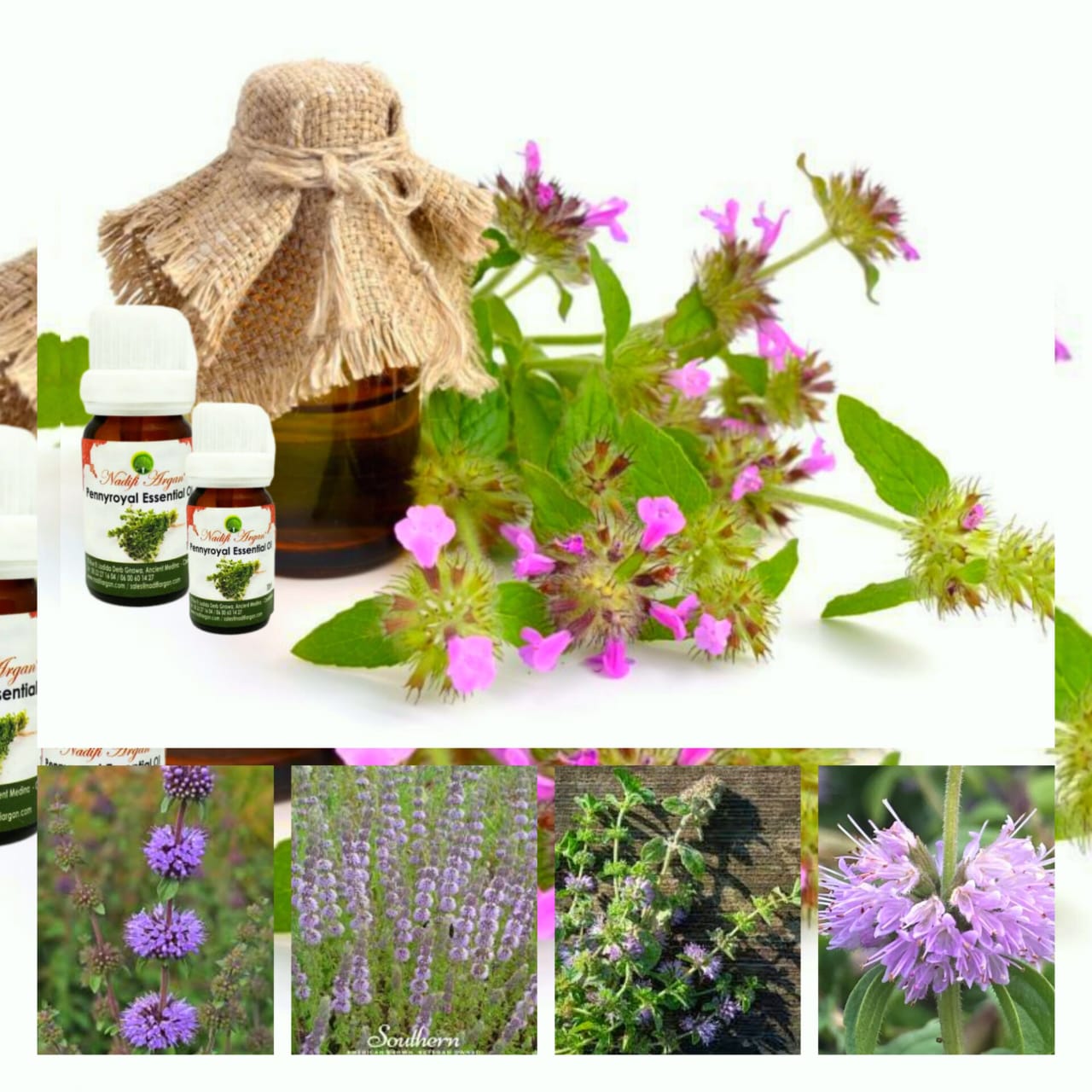 Pennyroyal Essential Oil 10ml