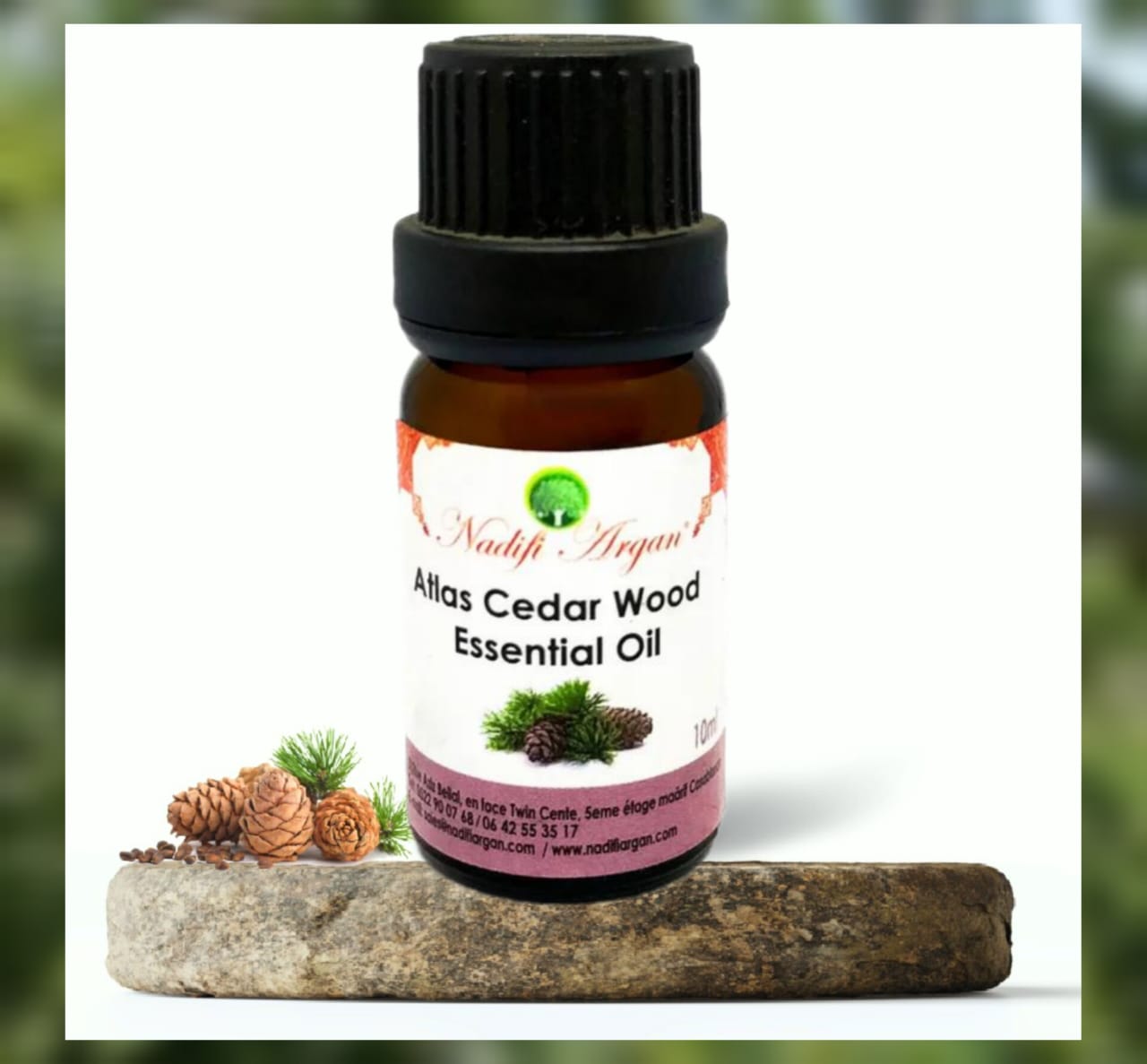 Atlas Cedar Wood Essential Oil 10ml