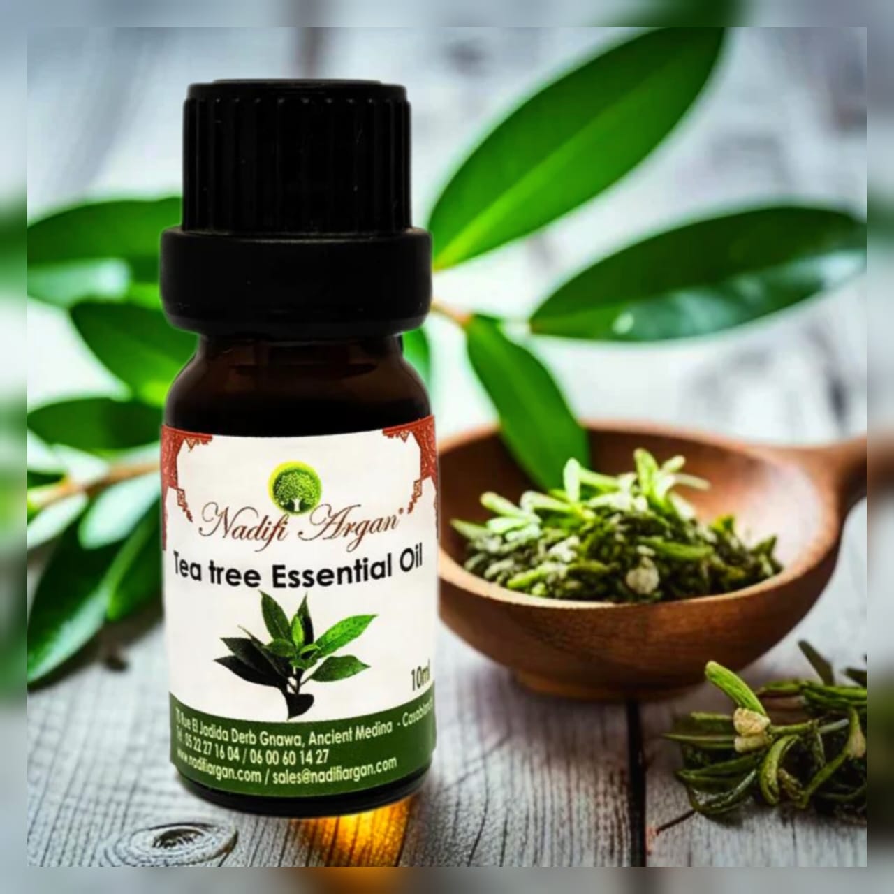 Set of 7 Tea Tree Essential Oil 10ml