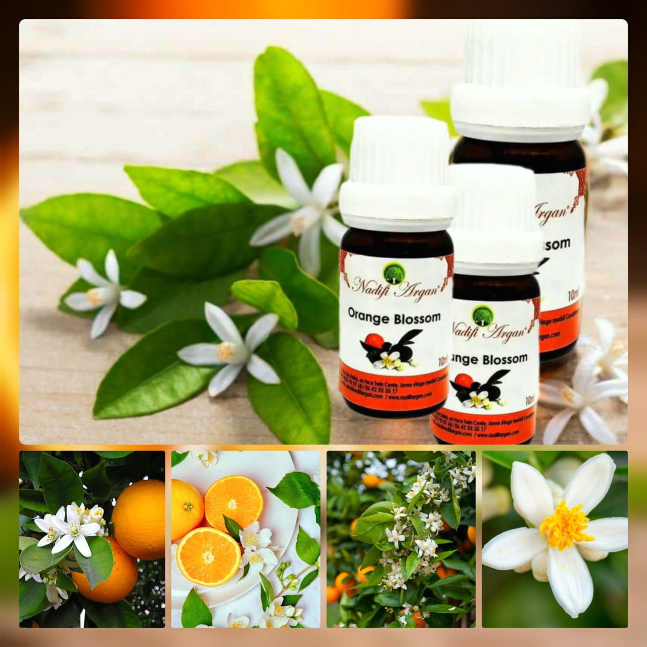 Orange Blossom Essential Oil 10ml