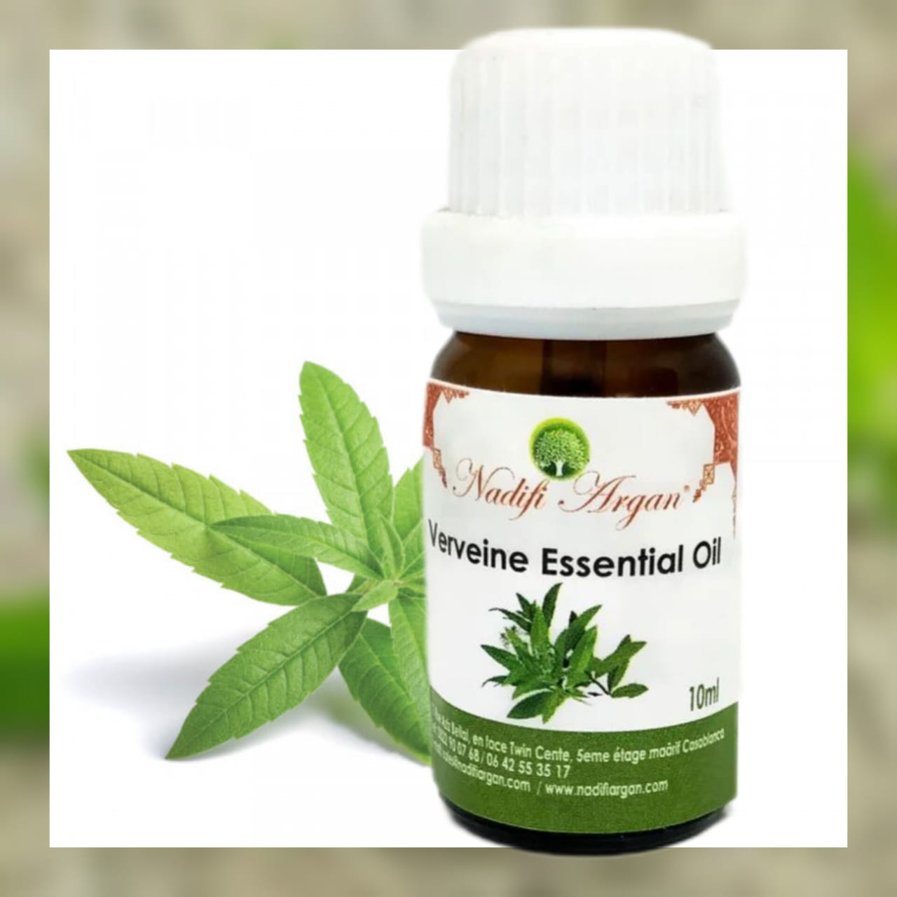 Set of 7 Verveine Essential Oil 10ml