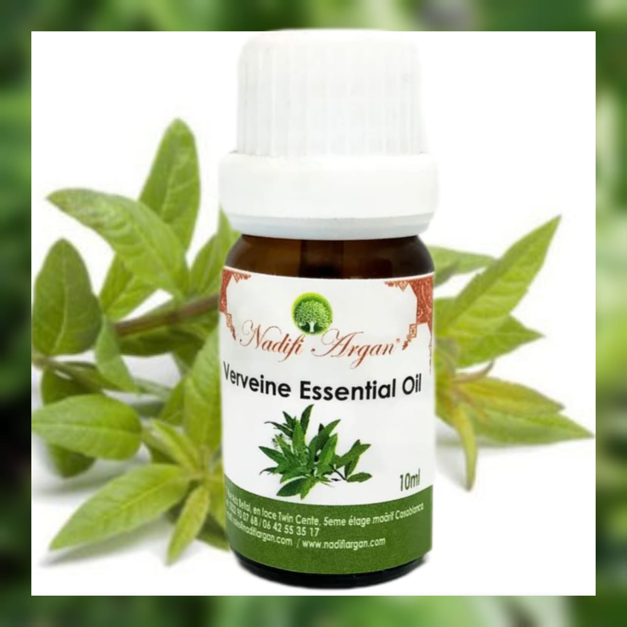 Set of 7 Verveine Essential Oil 10ml