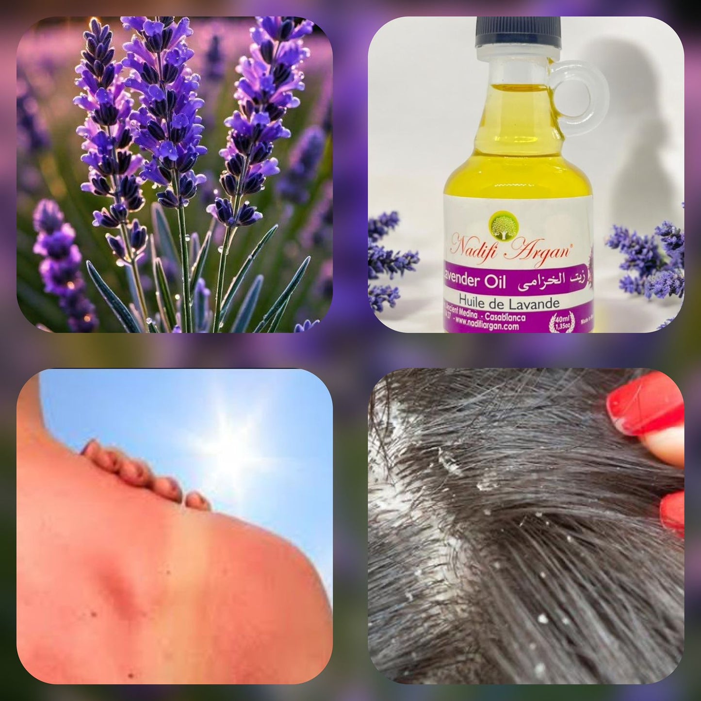 Set of 12 Lavender Oil 40ml