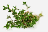 Thyme Essential Oil 10ml