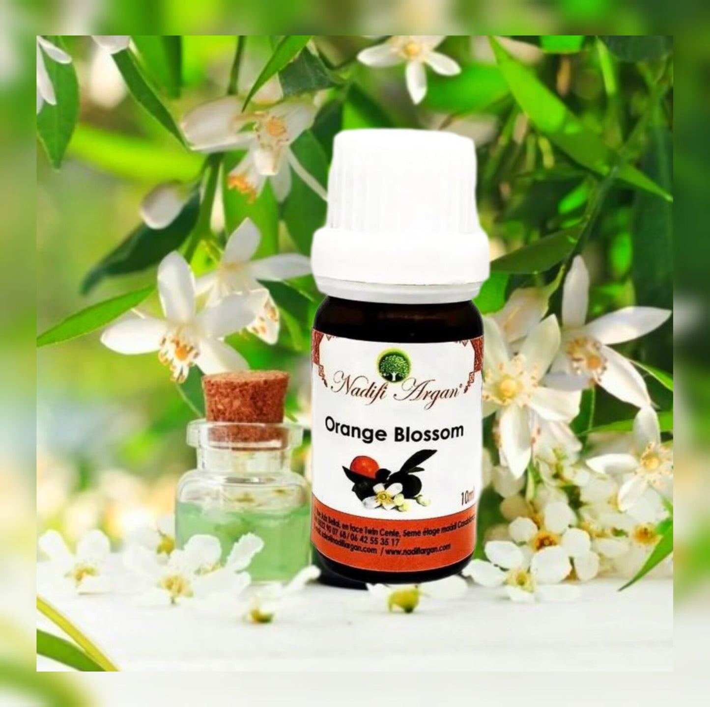 Set of 7 Orange Blossom Essential Oil 10ml