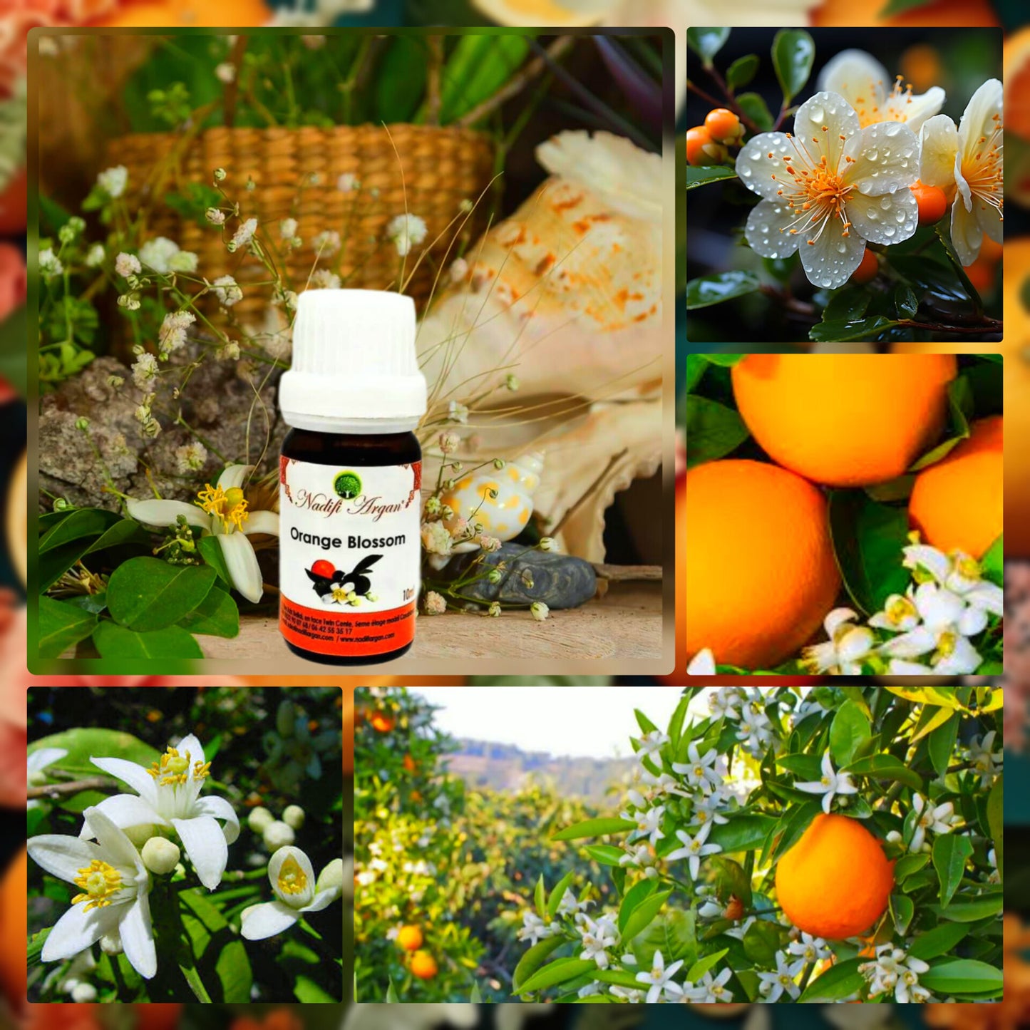 Orange Blossom Essential Oil 10ml