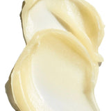 Argan Lip Balm & Honey