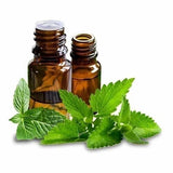 Moroccan Mint Essential Oil 10ml