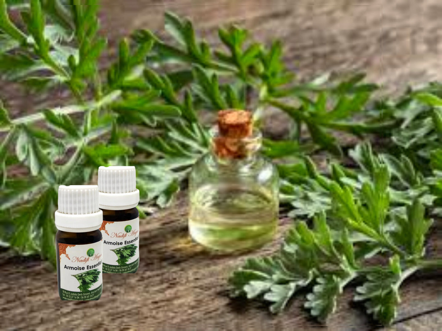 Armoise Essential Oil 10ml