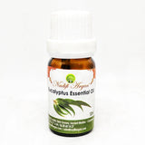 Eucalyptus Essential Oil 10ml