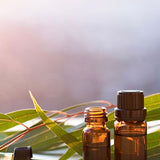 Eucalyptus Essential Oil 10ml