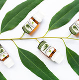 Eucalyptus Essential Oil 10ml