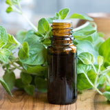 Oregano Essential Oil 10ml