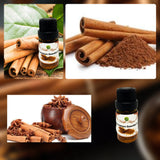 Cinnamon Essential Oil 10ml