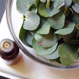 Eucalyptus Essential Oil 10ml