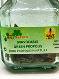 Propolis of Brazil