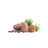 Atlas Cedar Wood Essential Oil 10ml