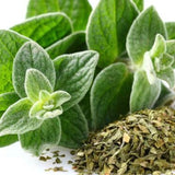 Oregano Essential Oil 10ml