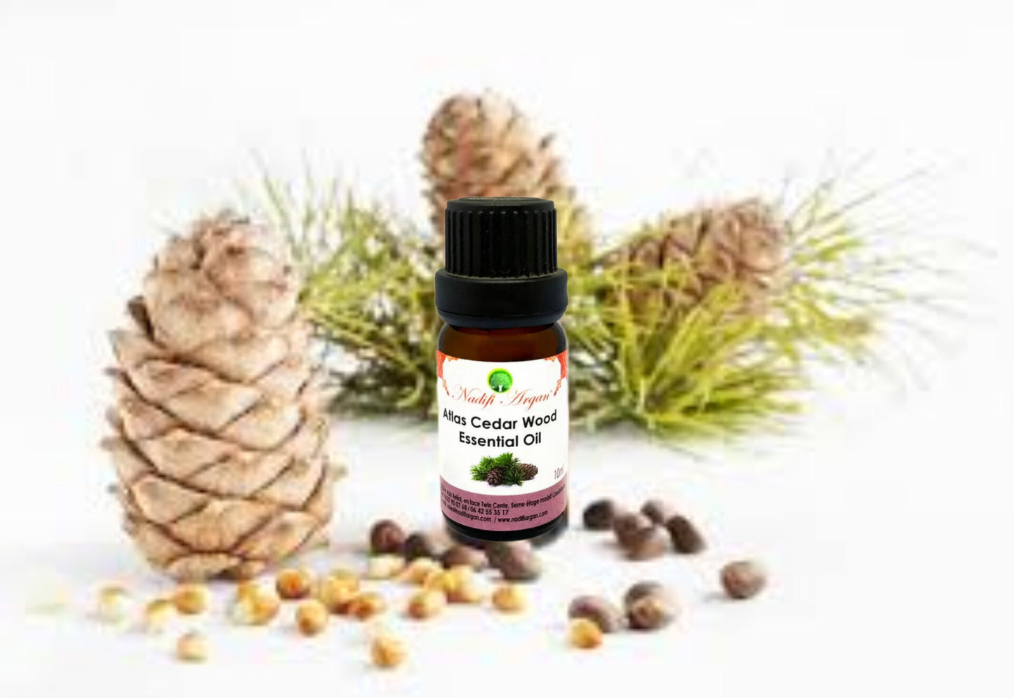 Set of 7 Atlas Cedar Wood Essential Oil 10ml