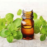 Oregano Essential Oil 10ml