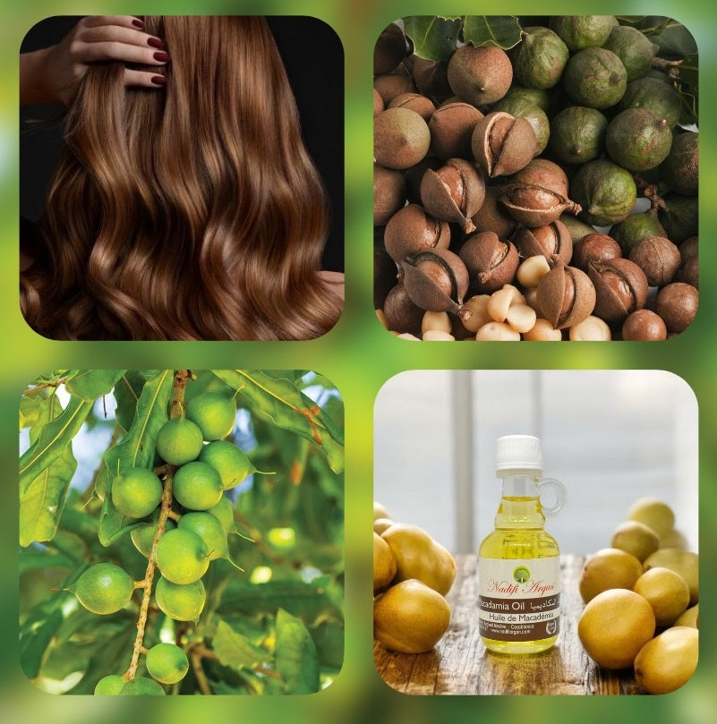 Set of 12 Macadamia Oil 40ml