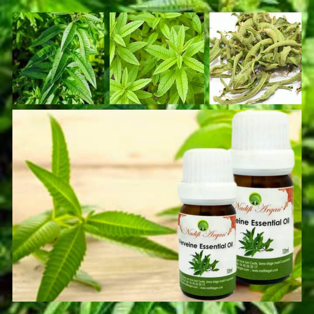 Set of 7 Verveine Essential Oil 10ml