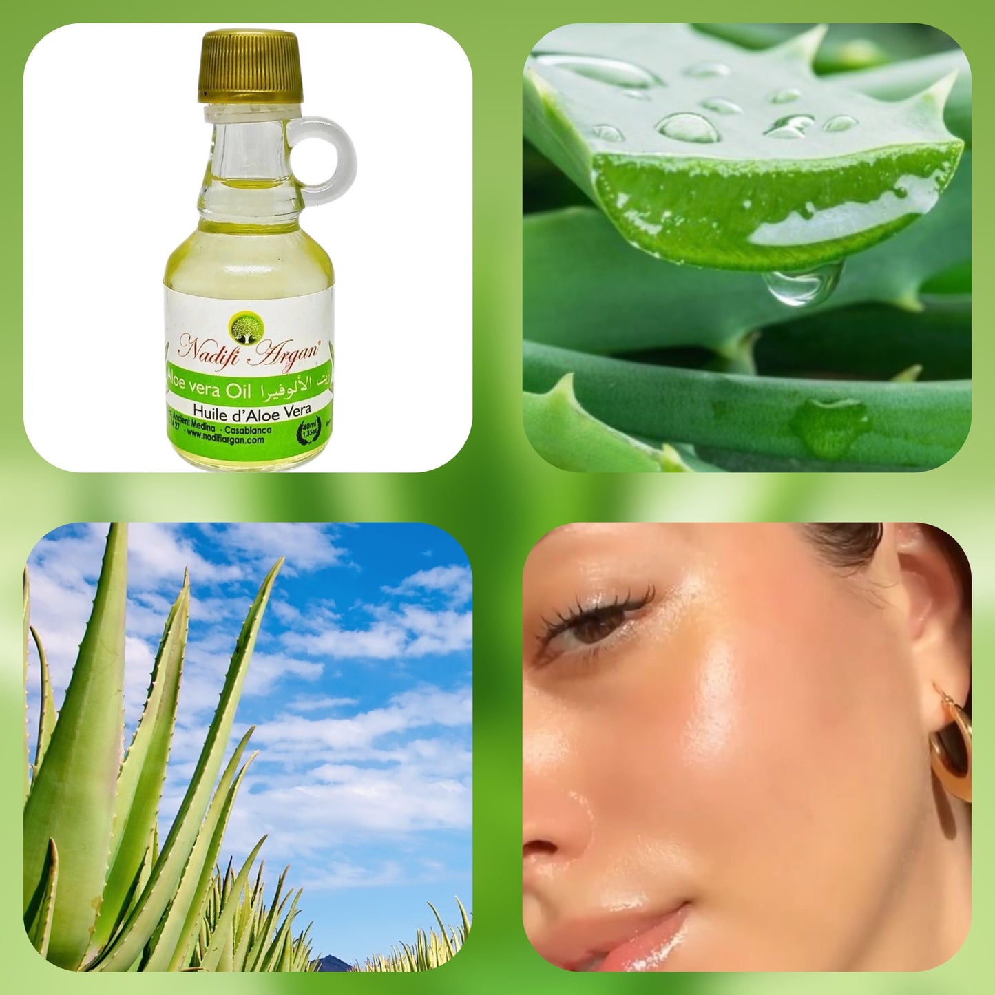 Set of 12 Aloe Vera Oil 40 ml